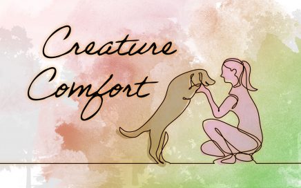 Creature Comfort 