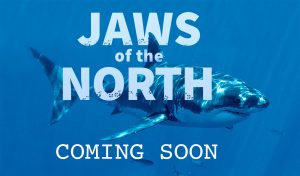 Jaws of the North