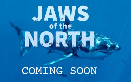 Jaws of the North